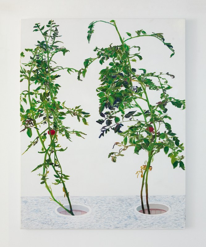 Alex Fischer, Vii 林建 Lin Jian, 2015-02-26